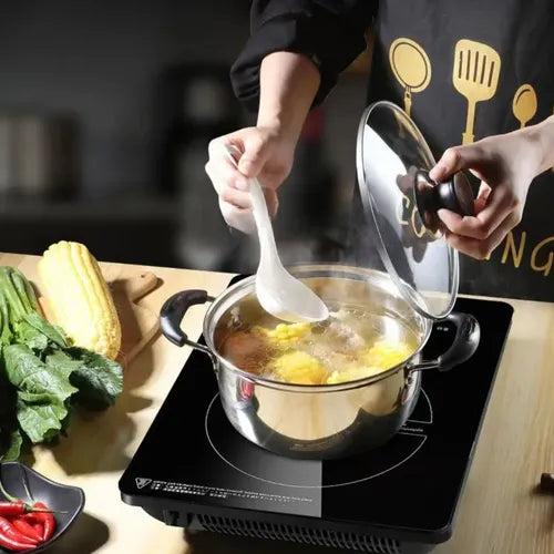 ESTUFA DE INDUCCIÓN 1 PUESTO 110V